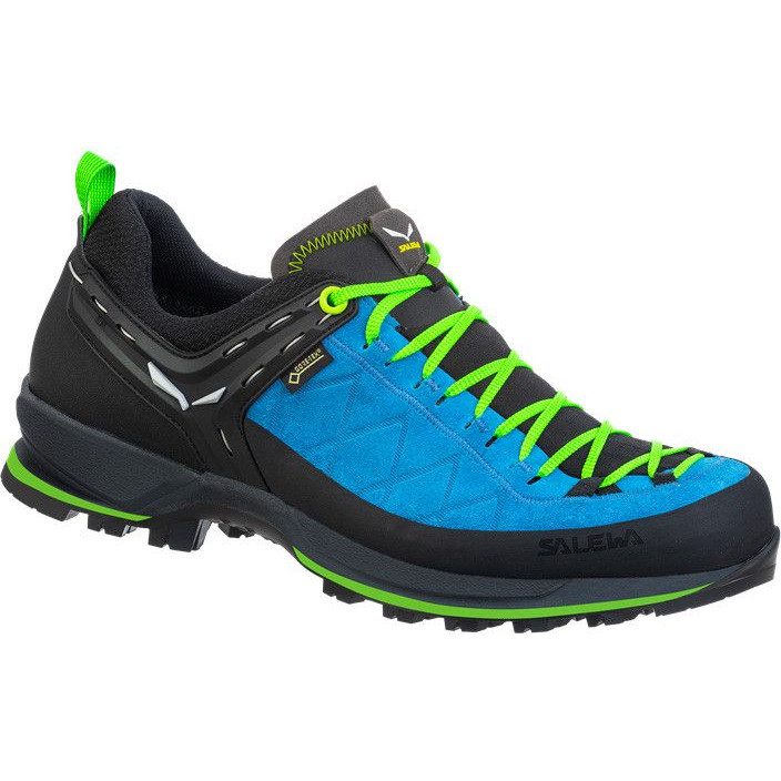 Pánské boty Salewa Ms Mtn Trainer 2 Gtx Velikost bot (EU): 45 / Barva: modrá